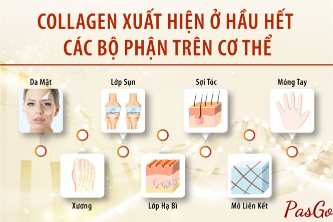 Uống collagen khi nào tốt nhất 2 thời điểm VÀNG tốt cho da và xương